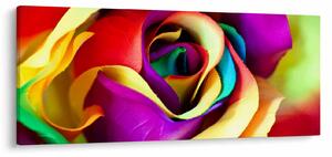 Tablou - Trandafir colorat (120x50 cm)