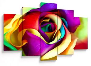 Tablou - Trandafir colorat (150x105 cm)