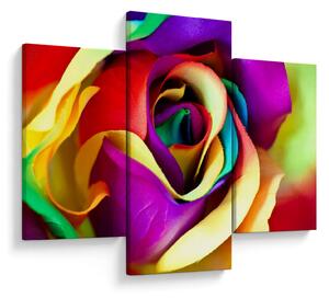 Tablou - Trandafir colorat (90x60 cm)