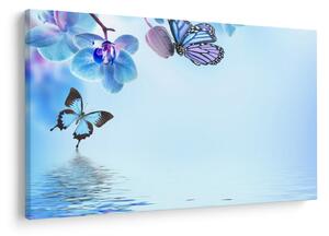 Tablou - Fluture pe flori de orhidee, albastru (90x60 cm)
