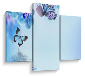Tablou - Fluture pe flori de orhidee, albastru (90x60 cm)