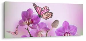 Tablou - Fluture pe flori de orhidee, liliac (120x50 cm)