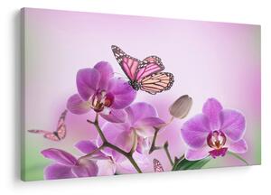 Tablou - Fluture pe flori de orhidee, liliac (90x60 cm)