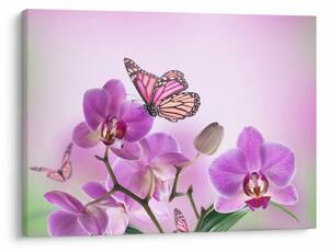 Tablou - Fluture pe flori de orhidee, liliac (70x50 cm)