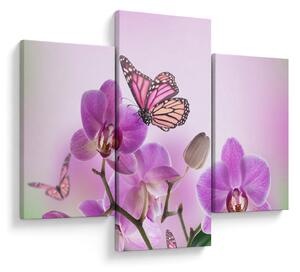 Tablou - Fluture pe flori de orhidee, liliac (90x60 cm)