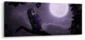 Tablou - Bufniță de noapte, violet (120x50 cm)