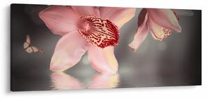 Tablou - Flori și fluture (120x50 cm)