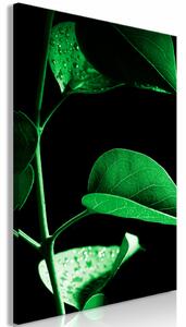 Tablou - Plant in Black (1 Part) Vertical