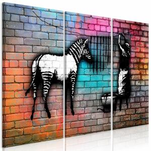 Tablou - Washing Zebra - Colourful Brick (3 Parts)