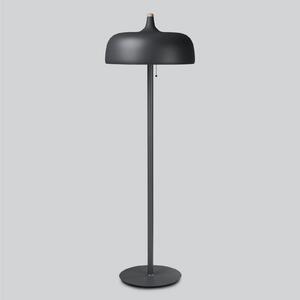 Northern Acorn lampă de podea gri mat, Negru, Camera de zi / sufragerie, Metal, Design