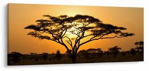 Tablou - Savana africană (120x50 cm)