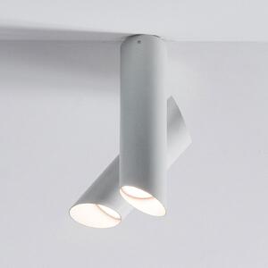 Nemo Tubes LED plafonieră 2 becuri alb/alb, reglabil, Alb, Camera de zi / sufragerie, Metal, Modern