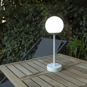 Newgarden Lampă de masă Norai Slim LED, antracit, reglabil, Gri, Camera de zi / sufragerie, Plastic