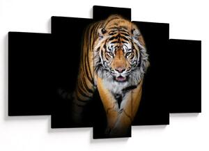 Tablou - Tiger (150x105 cm)