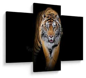 Tablou - Tiger (90x60 cm)