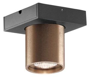 Plafoniere LIGHT-POINT, reglabil, Bronz / Alamă Veche, Camera de zi, Aluminiu