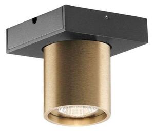 Plafoniere LIGHT-POINT, reglabil, Auriu / Alamă, Camera de zi, Aluminiu