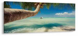 Tablou - Mare curată cu palmier (120x50 cm)
