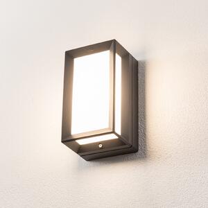 BEGA Aplică de exterior Bega LED 22750 K3, grafit, aluminiu turnat. Sticlă, Gri, Aluminiu