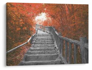 Tablou - Scări în natură, portocaliu (70x50 cm)