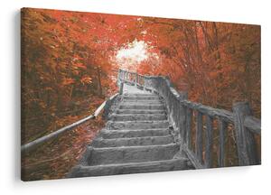 Tablou - Scări în natură, portocaliu (90x60 cm)