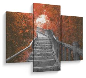 Tablou - Scări în natură, portocaliu (90x60 cm)