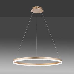 Paul Neuhaus Lampă suspendată LED Titus, Ø 80 cm, alamă, dimabil, reglabil, Auriu / Alamă, Camera de zi / sufragerie, Metal, Modern