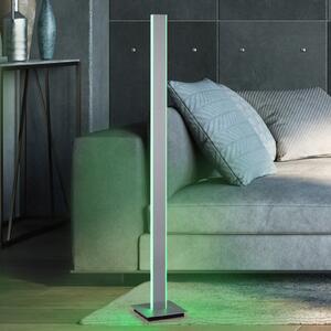 Q-Smart-Home Paul Neuhaus Q-Adriana lampă de podea LED, 140 cm, reglabil, Metalic, Camera de zi / sufragerie, Metal, Modern