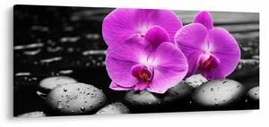 Tablou - Orhidee violet (120x50 cm)