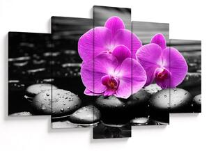 Tablou - Orhidee violet (150x105 cm)