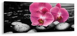 Tablou - Orhidee roz (120x50 cm)