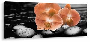 Tablou - Orhidee portocalii (120x50 cm)