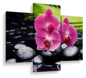 Tablou - Orhidee roz cu frunze de palmier (90x60 cm)