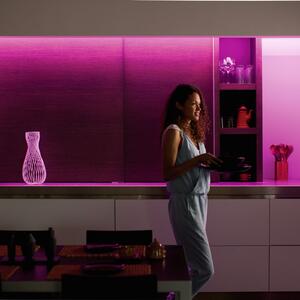 Philips Hue LightStrip Plus extensie de 1 m, reglabil, Transparent, Camera de zi / sufragerie, Plastic, Modern