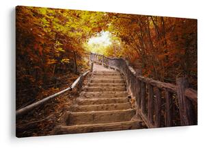Tablou - Scări în natură în toamnă (90x60 cm)