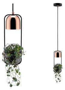 Paulmann lampă suspendată Fanja cu ghiveci plante, reglabil, Negru, Camera de zi / sufragerie, Metal, Modern