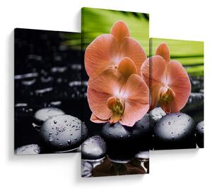 Tablou - Orhidee portocalie cu frunze de palmier (90x60 cm)