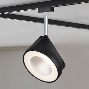 Paulmann URail Spot Arena negru dimabil 4.000 K, reglabil, Negru, Camera de zi / sufragerie, Metal, Modern