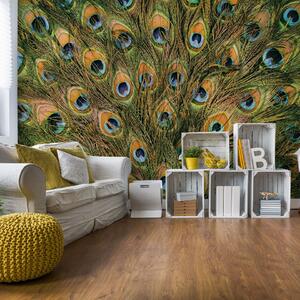 Peacock Feathers Photo Wallpaper Wall Mural