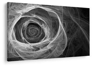 Tablou - Abstract trandafir negru și alb (90x60 cm)