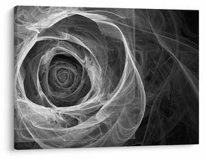 Tablou - Abstract trandafir negru și alb (70x50 cm)