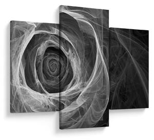 Tablou - Abstract trandafir negru și alb (90x60 cm)