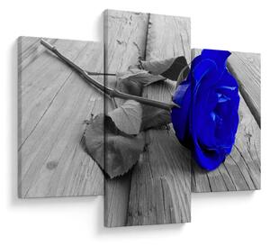 Tablou - Trandafir albastru (90x60 cm)