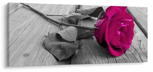Tablou - Trandafir roz (120x50 cm)