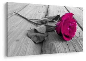Tablou - Trandafir roz (90x60 cm)