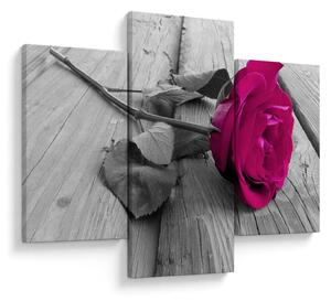 Tablou - Trandafir roz (90x60 cm)