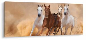 Tablou - Herghelie de cai (120x50 cm)