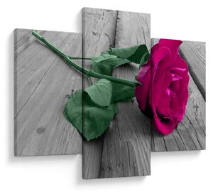 Tablou - Trandafir roz cu tulpina verde (90x60 cm)