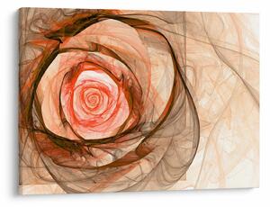 Tablou - Abstract trandafir roz cu fundal alb (70x50 cm)