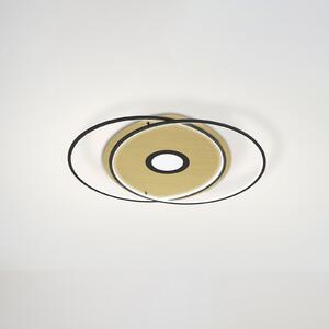 Q-Smart-Home Paul Neuhaus Q-AMIRA plafonieră LED ovală, negru, reglabil, Negru, Camera de zi / sufragerie, Metal, Modern